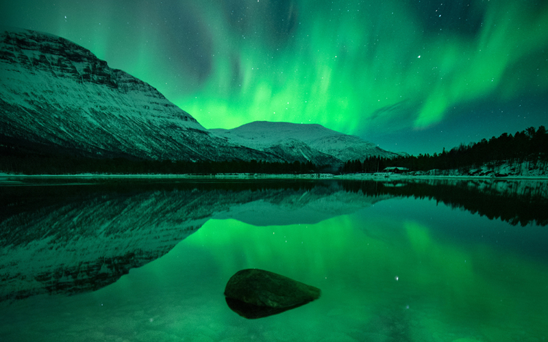 What do the Northern Lights look like?︱Tromsø Norway︱ Wandering Owl